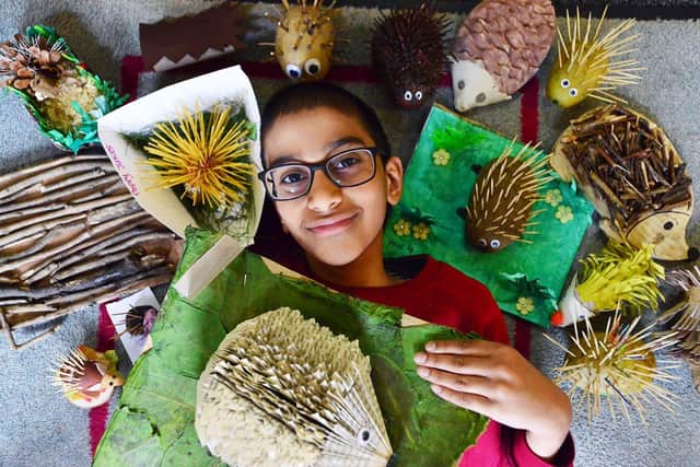 West View Primary school pupil Ruhan Mominsuthar with a selection of hedgehogs created by fellow pupils at the school./ Photo: Frank Reid