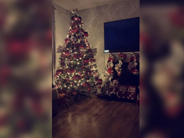 Mickey and friends help this Hartlepool home get into the festive spirit. And it looks great!