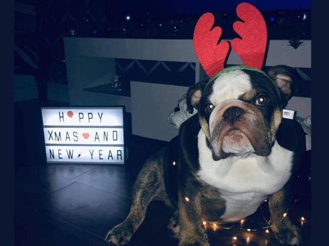Walter is on hand to help Santa with his errands on Christmas Eve.