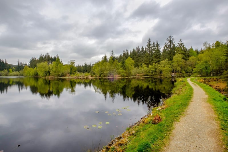 Galloway Forest Park, in Dumfries and Galloway, is the largest forest in Britain and is also a recognised Dark Sky Park, meaning it's perfect for stargazers.