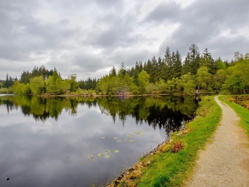 Galloway Forest Park, in Dumfries and Galloway, is the largest forest in Britain and is also a recognised Dark Sky Park, meaning it's perfect for stargazers.