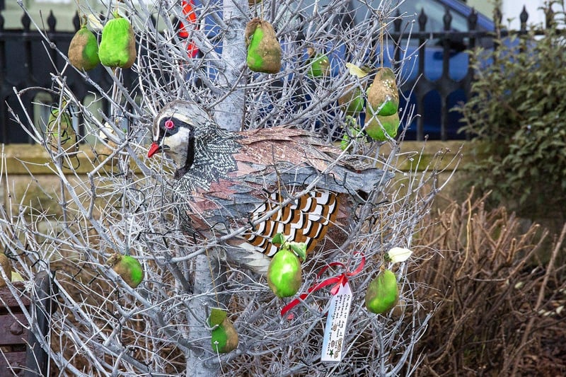 On the first day of Christmas, my true love sent to me, a partridge in a pear tree...