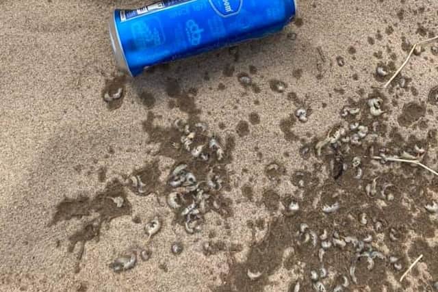 Discarded cans are regularly found on the beaches of Hartlepool, such as this one which was picked up by Christine Creamer and her partner.