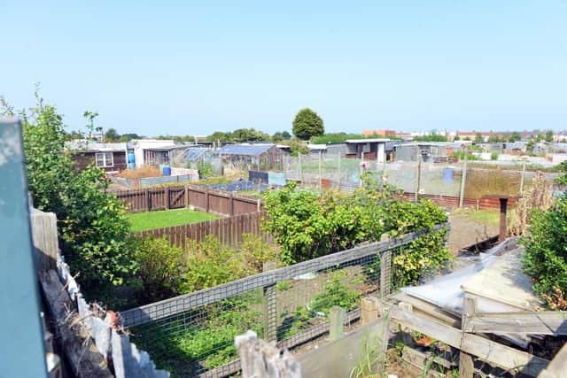 The allotments in Chester Road were hit by fire earlier this year.