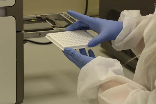 Testing samples for coronavirus.