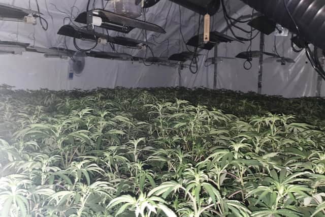 One man is in custody after public tip offs led police to discover this cannabis farm in Hartlepool.
