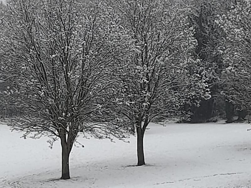 Mandy Ellis says snow makes her happy.