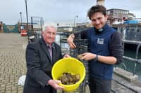 Cllr Rob Darby with native oyster project officer Anton Druon preparing to place an oyster hoist into the dock at the Museum of Hartlepool.