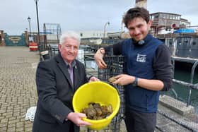 Cllr Rob Darby with native oyster project officer Anton Druon preparing to place an oyster hoist into the dock at the Museum of Hartlepool.