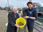 Cllr Rob Darby with native oyster project officer Anton Druon preparing to place an oyster hoist into the dock at the Museum of Hartlepool.
