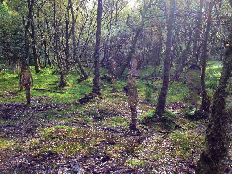 Sitting in the middle of Loch Lomond and The Trossachs National Park, near Aberfoyle, Queen Elizabeth Forest Park contains 50,000 acres of forest, rivers, lochs, and an extensive network of well-maintained paths.