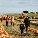 Tweddle Farm's pumpkin patch in 2021. ROAM Photography.