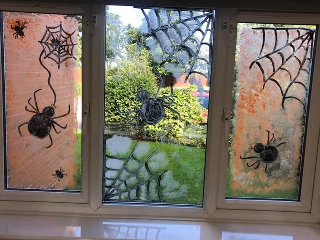 We don't fancy waking up to these eight-legged monsters at home. Let's hope they clear off by November 1 ...