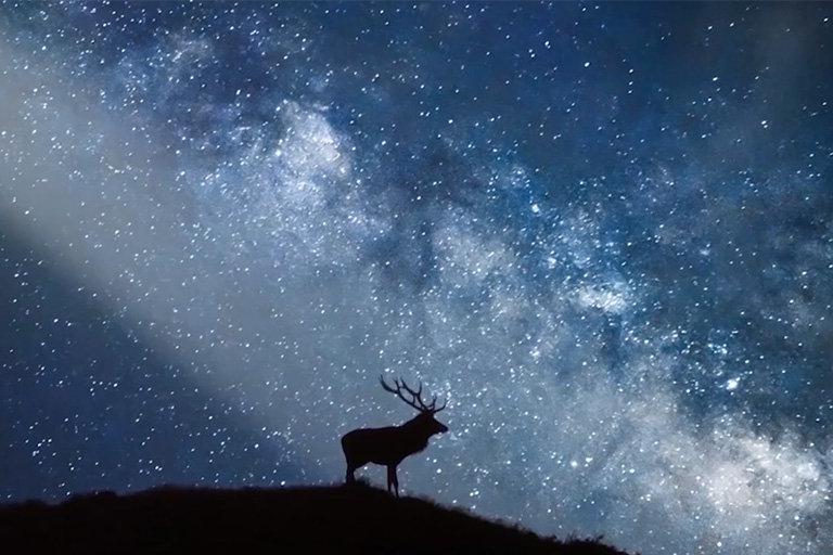 Torridon is classified as amongst the darkest locations on earth and one of the finest places to experience the night sky. Here, stargazing amateurs and aficionados will sight rich views of the Milky Way guided by local astronomer Stephen Mackintosh. Spot Arcturus, a giant red star that is around 3 billion years old, and the fourth brightest in the sky.