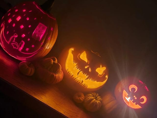 We're not sure what he's smiling about in the middle ... Celebrating National Pumpkin Day and Halloween with Raven Brown.