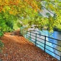 This view of Morpeth riverside is being made into a jigsaw.