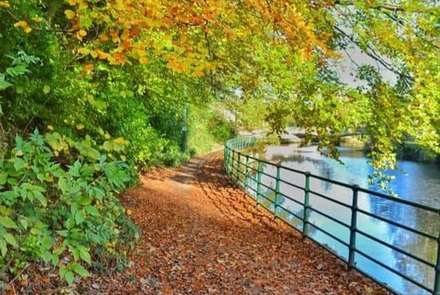 This view of Morpeth riverside is being made into a jigsaw.