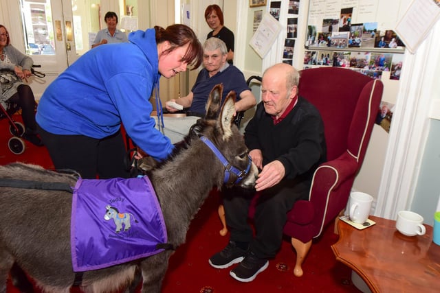 Teddy the Donkey was a big hit when he visited Dinsdale Lodge in 2018.