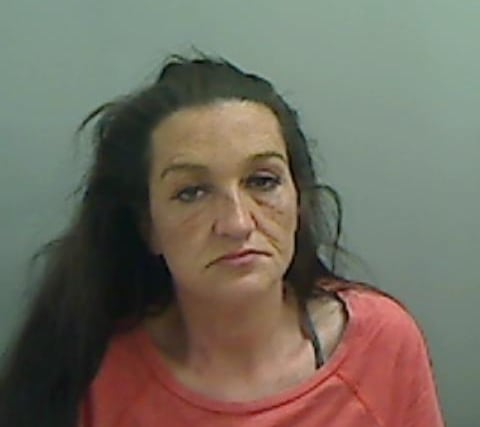 Sowerby, 43, of Harington Road, Stockton, was jailed for five years and three months after she admitted committing burglary, attempted burglary, two frauds and handling stolen goods in the Hartlepool area.