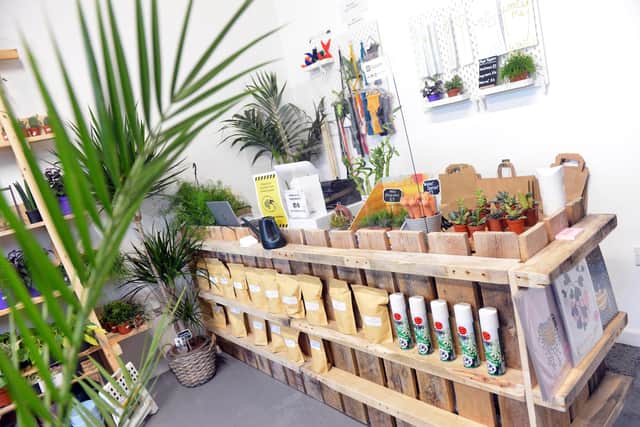 Current stock in new Hartlepool business Plantopia - The Plant Shop on the Park View industrial estate.