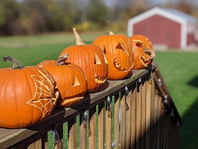 Cross them if you dare ... Celebrating National Pumpkin Day and Halloween with Helen Wyld.