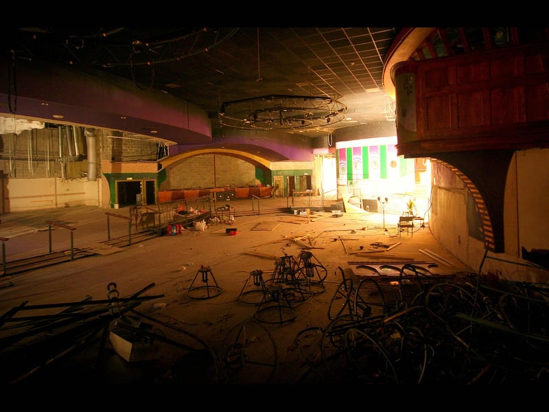 Photographer Laura Hughes, who used to work at Amadeus, got back into the club just as the entertainment palace was being guttted. PIC: Laura Hughes.