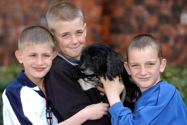 Three boys found this lost dog in 2003.