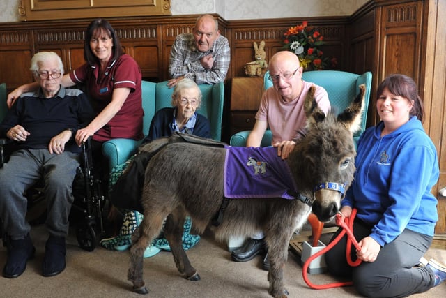 Seaton Hall Residential Home residents enjoyed a visit from Teddy the Donkey in 2019.
