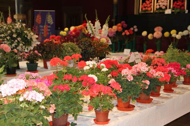 Flashback to the 2017 Horticultural Show.