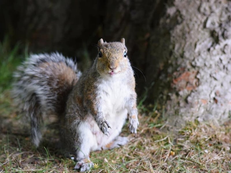 Kayleigh Page shared this photo of the local nature.