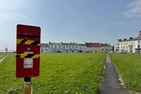 Residents have been advised to use alternative post boxes after birds have been found nesting inside one on The Green, in Seaton Carew, Hartlepool.