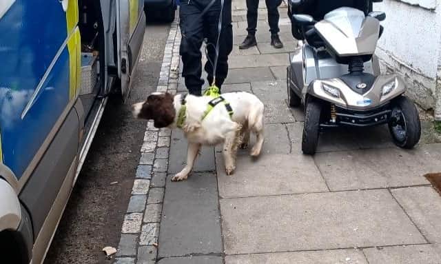 Drug dogs were also deployed to both Middlesbrough train and bus stations during the week.
