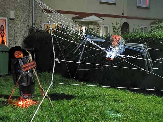 The happy face on the pumpkin is definitely a treat ... but we're not loving the look of that giant spider!