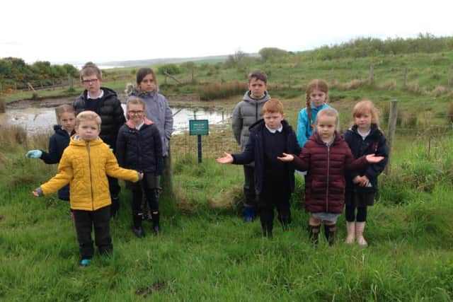 Children from Easington Church of England Primary School have been left saddened by the attacks on the pond their school has adopted.