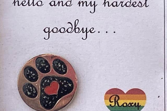 The "Pin Badge" from Roxy's Rainbow Pet Cremation.  by FRANK REID