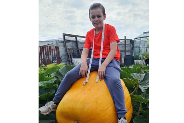 The pumpkin is so big that Michael's children have been can sit on it.