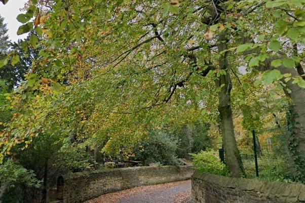 There are many beautiful sights to enjoy in the Dene and plenty of things to do before your picnic - including visiting the Old Mill and waterfall.
