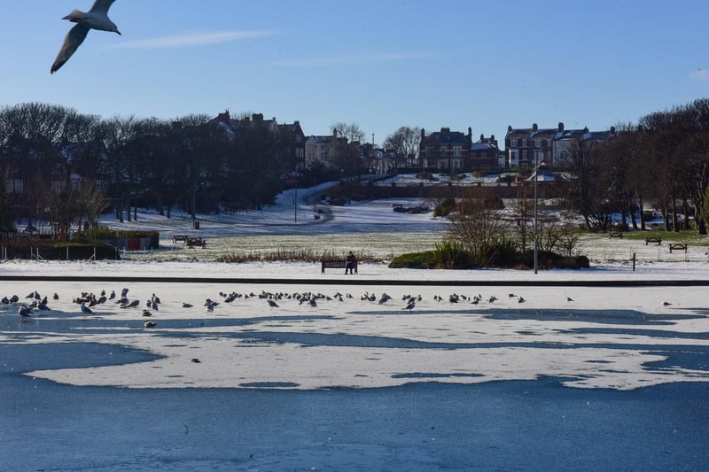 Winter in Marine Park, South Shields, on Thursday, February 11.