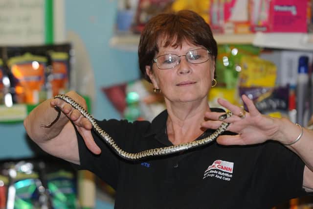 Mavis Austin of Stranton Pets pictured with the snake in 2011.