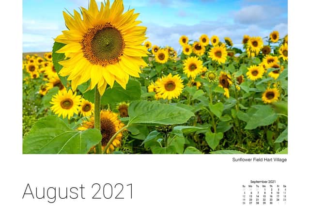 Sunflowers in a field near Hart is one of the Hartlepool images John Runciman has used in the 2021 town calendar.