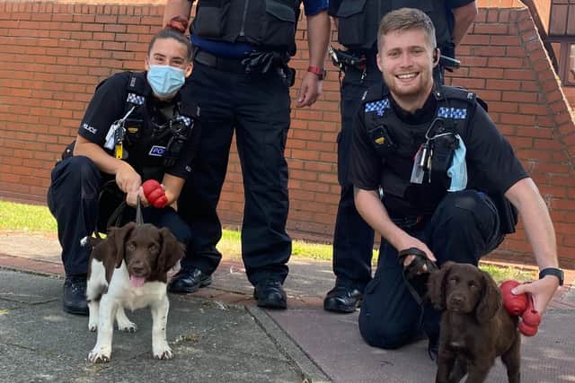 Trainee Cleveland Police search puppies Kev and Griff with members of the Hartlepool Neighbourhood Policing Team.
