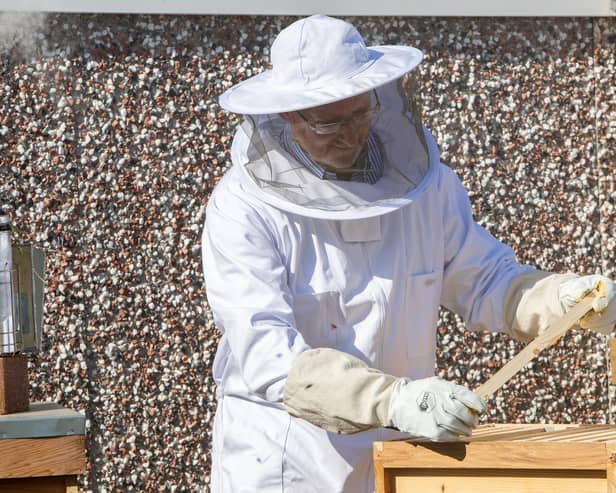 John Woods tending the bees.