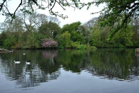 The pond at Rossmere Park, Hartlepool, has been dyed blue to help combat the growth of algae during the spring and summer months.