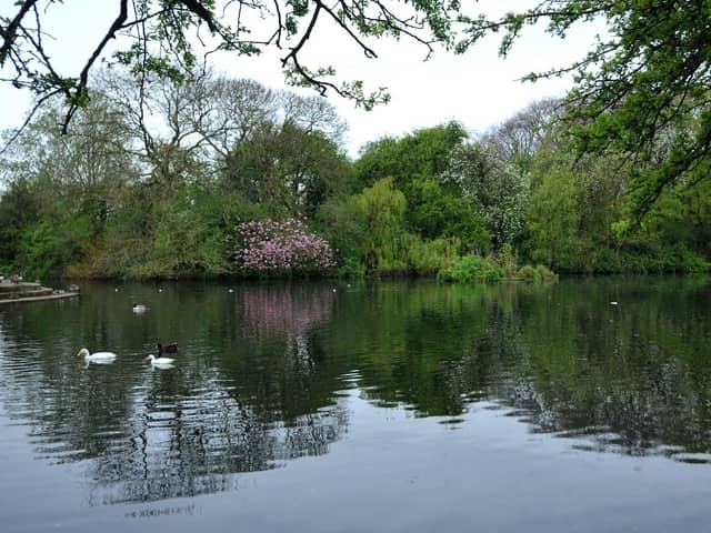The pond at Rossmere Park, Hartlepool, has been dyed blue to help combat the growth of algae during the spring and summer months.