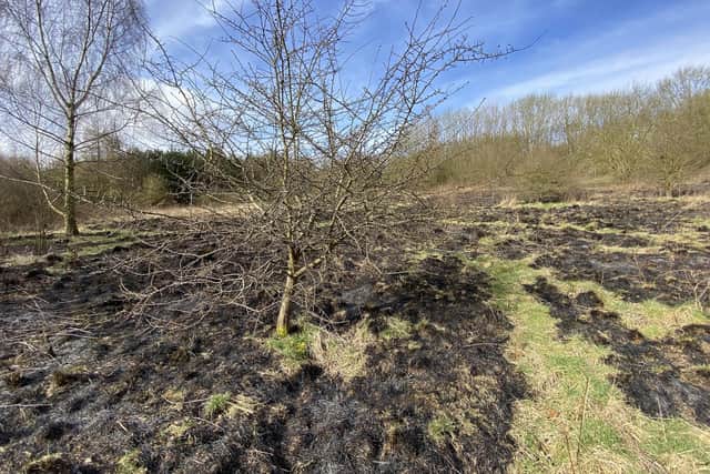 An area of grassland at Summerhill Country Park that was set on fire last month