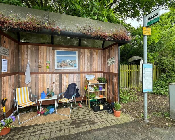 This bus stop has been turned into a potting shed to show the importance of allotments - that Horden has an abundance of - in keeping older residents active and engaging with the community. Locals and people passing through were able to help themselves to free seedlings and plants.