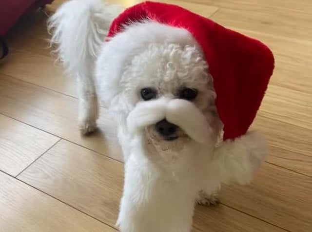 Santa has started his rounds early this year, with some help from little helper Sky.