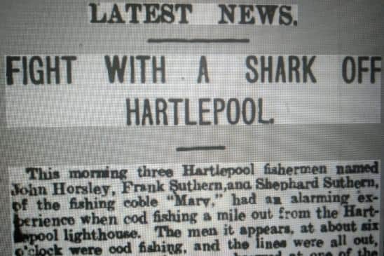 A 9ft shark dragged a Hartlepool coble out to sea in 1898.