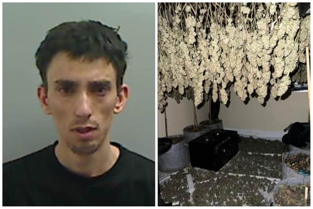 Gazmend Dini has been jailed after a cannabis farm was discovered at an address in Hartlepool.
