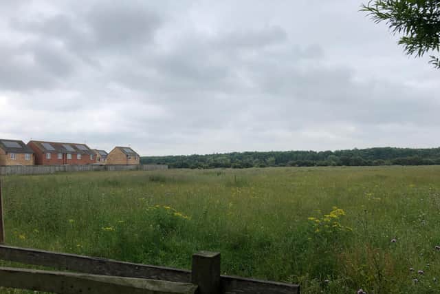 The homes would be built on land to the rear of Seaton Meadows.